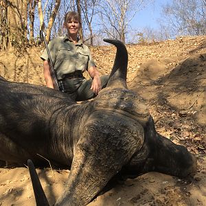 Zimbabwe Hunt Cape Buffalo