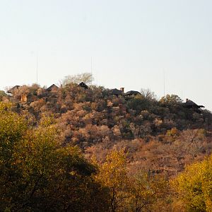 South Africa Hunting