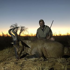 Hunting Red Hartebeest in Namibia