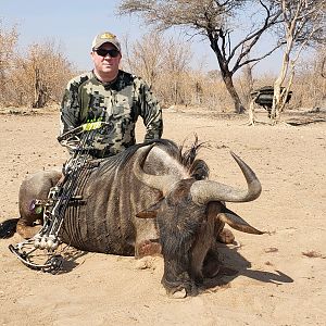 South Africa Bow Hunt Blue Wildebeest