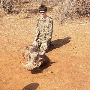 Bow Hunt Warthog South Africa