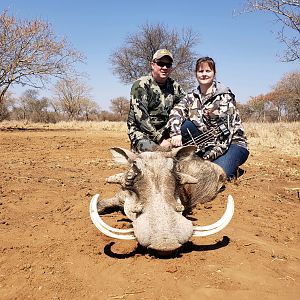 South Africa Bow Hunt Warthog