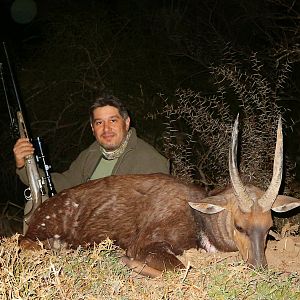 South Africa Hunting Bushbuck