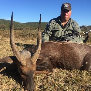 South Africa Hunt Bushbuck