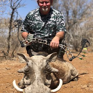 Bow Hunt Warthog in South Africa