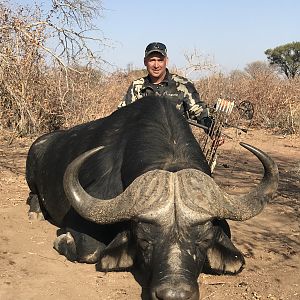 Bow Hunting Buffalo in South Africa