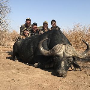 Buffalo Bow Hunting South Africa