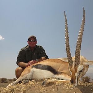 Tanzania Hunt Thomson's Gazelle