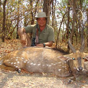 An old Zim Bush Buck unlucky not to die of old age