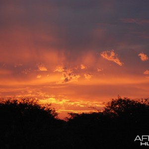 Limpopo Sunset