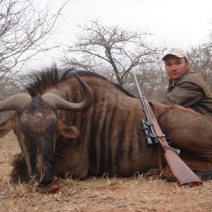 Blue Wildebeest hunt