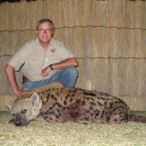 Hyena hunt in Zimbabwe