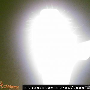 Trailcam picture