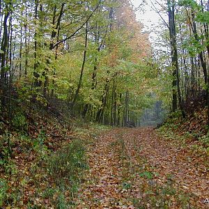 Tis the season, fall is upon us here in Wisconsin