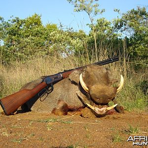 Wild West Warthog