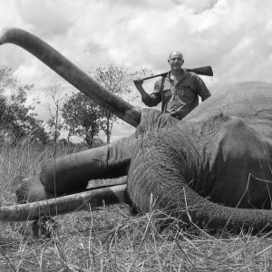 Hunting Elephant in Tanzania