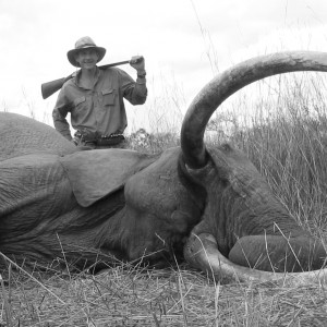 Hunting Elephant in Tanzania