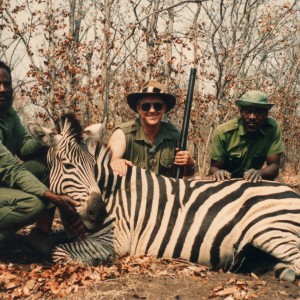 Zebra hunt Zimbabwe