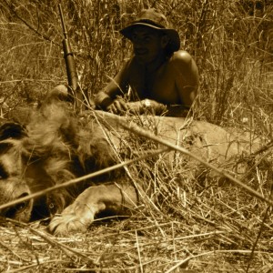 Hunting Lion in Tanzania