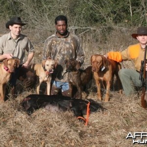 Hunting with Rhodesian Ridgeback