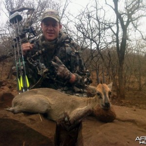 Bowhunting Duiker South Africa