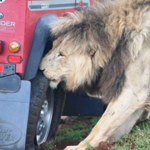 So who's going to volunteer to change the tyre?