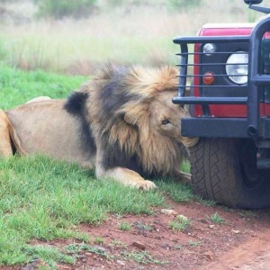 So who's going to volunteer to change the tyre?