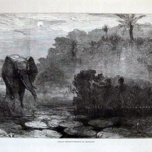 Hunting Elephant, 1877