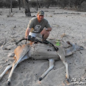 Female Kudu