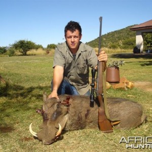 Warthog hunt