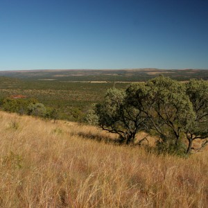 Koedoeberg South Africa