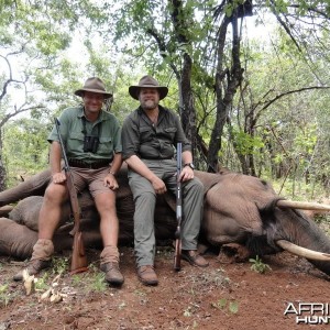 Elephant hunting