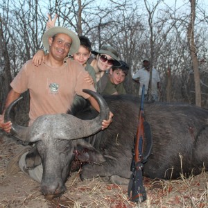 Buffalo hunted in Zimbabwe