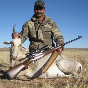 White Blesbok Vrede SA