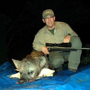 Hyena hunted in South Africa