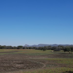 Ozondjahe Hunting Safaris