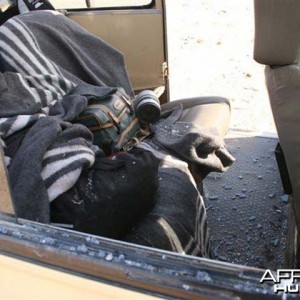 Lion Attack - Vehicle's broken out window from the Lion's charge