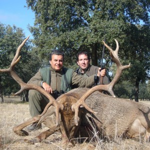 Hunting Red Deer in Spain