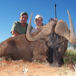 Black Wildebeest hunted with Hartzview Hunting Safaris