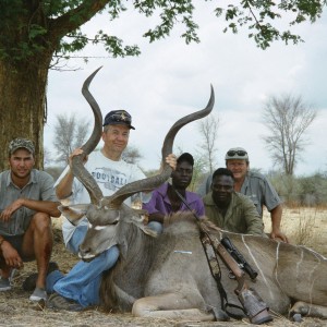 Greater Kudu