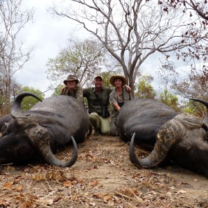 Buffalo double - Wife and husband