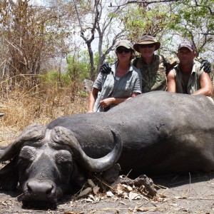 Buffalo from Selous