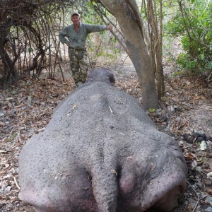 Hunting Hippo in Tanzania