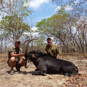 Hunting Sable in Tanzania