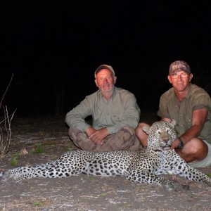 Hunting Leopard in Tanzania