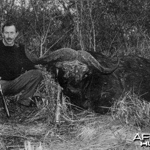 Largest cape buffalo taken in Uganda