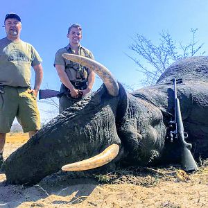 Namibia Hunt Elephant