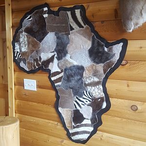 Africa Skin Patchwork Taxidermy