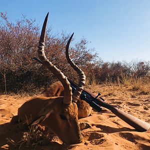 Impala Hunting South Africa