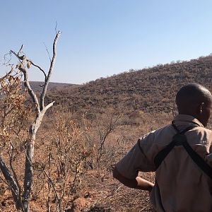 Hunting Kudu in South Africa